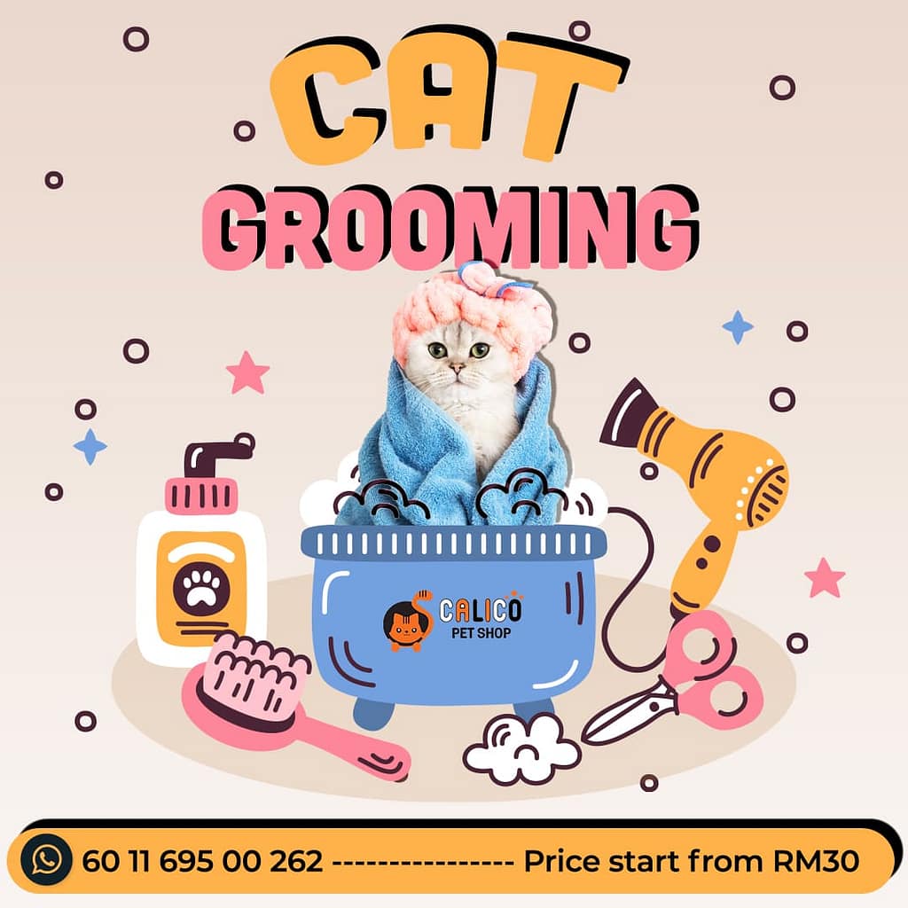 Social Media Marketing for Calico Pet Shop